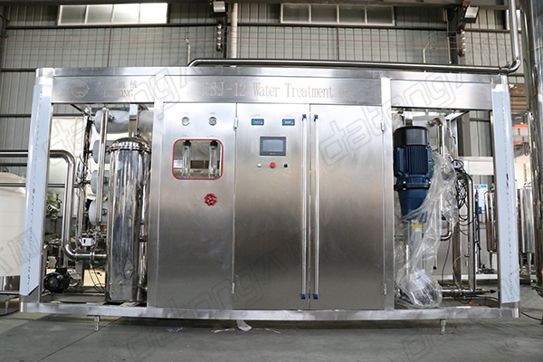 12T drinking water treatment system machine with RO equipment